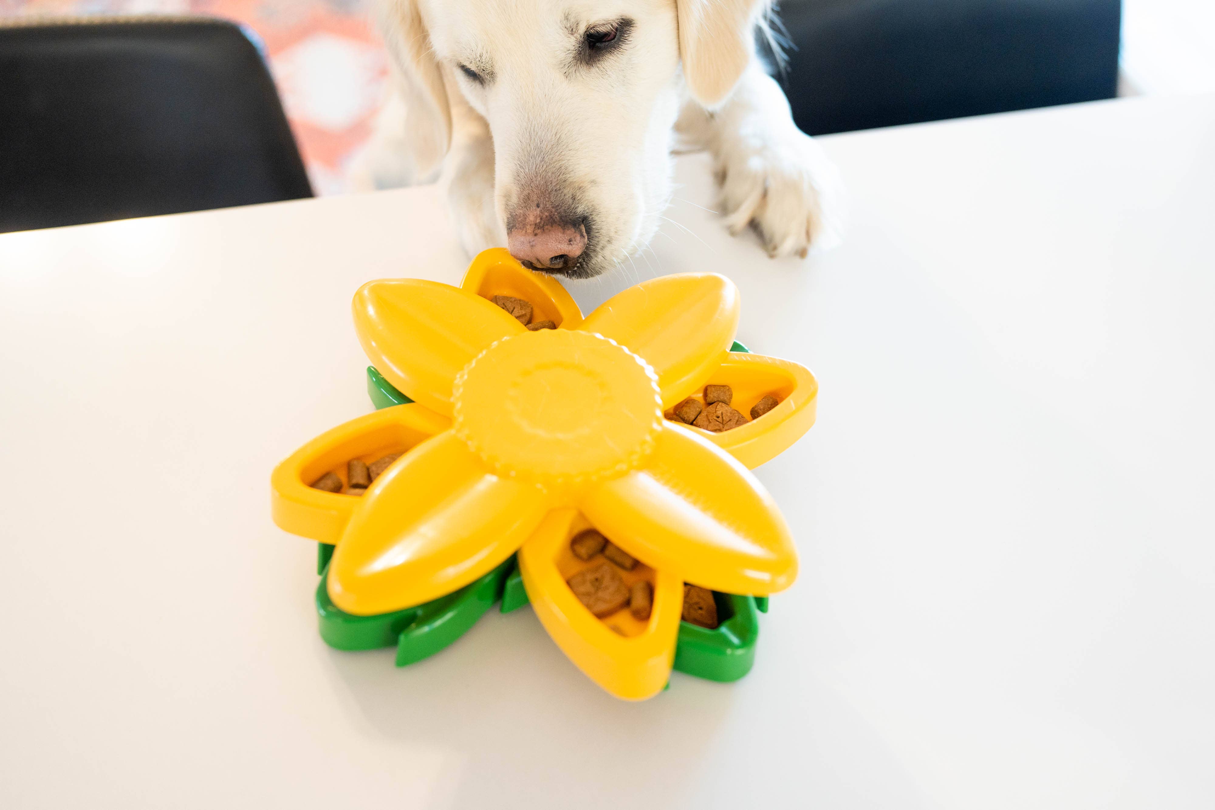 ZippyPaws - Wholesale Pet Toy - Dog - SmartyPaws Puzzler - Sunflower - Interactive Dog Toy3