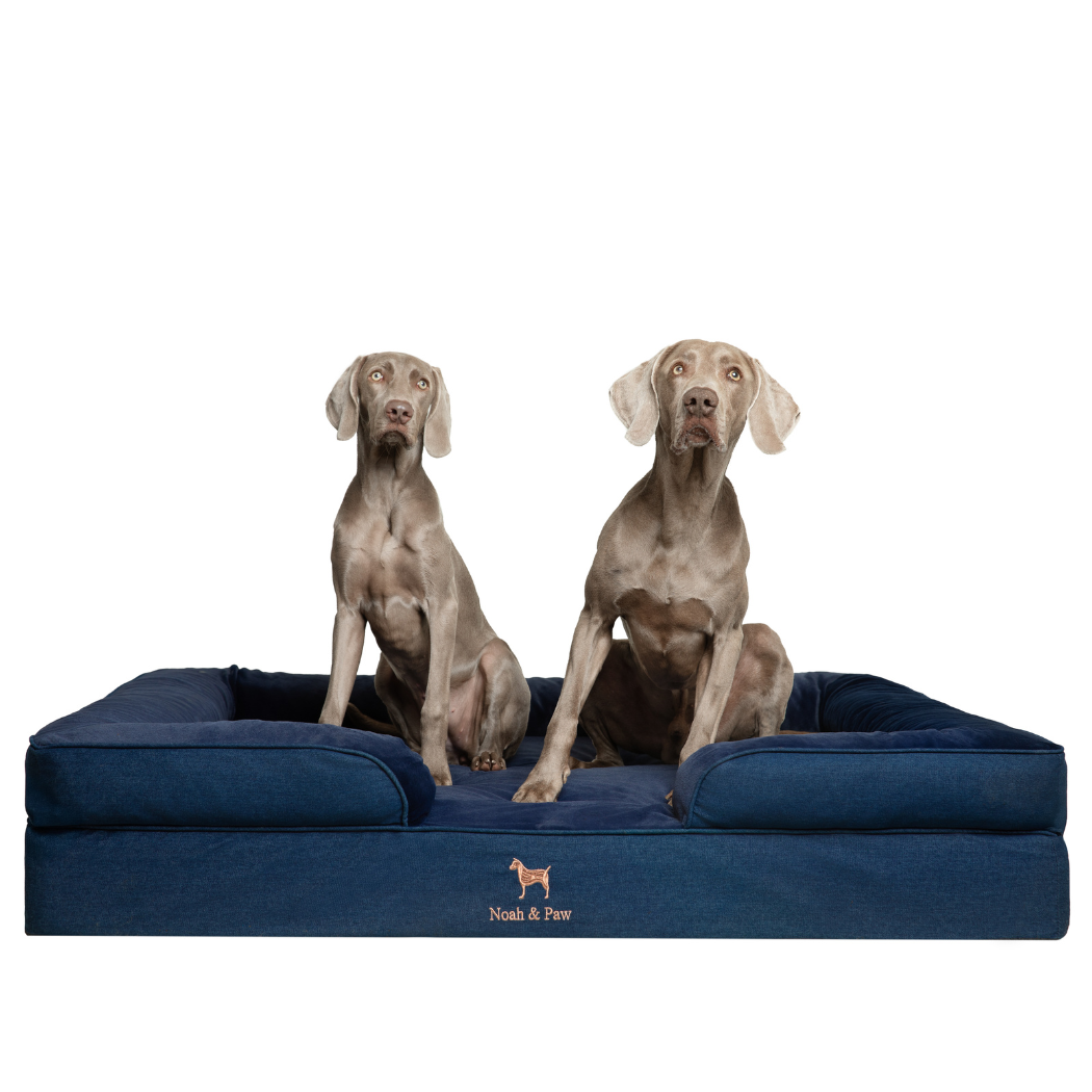 NOAH AND PAW LLC – Großhandel Haustierbett – Katze/Hund – Orthopädisches Haustierbett aus Denim, Memory-Schaum, mit kühlendem Gel durchzogen4