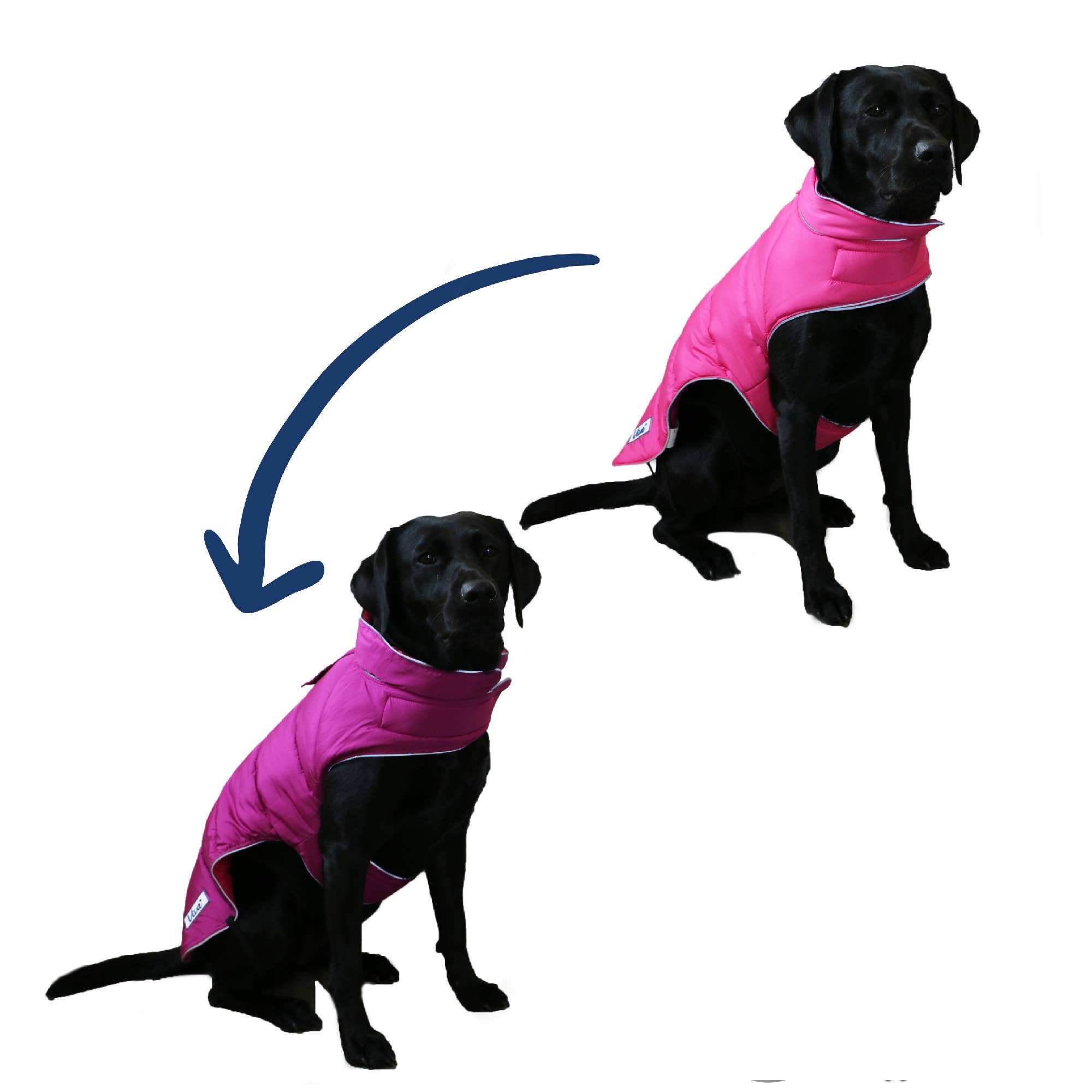 Ancol Pet Products Ltd - Wholesale Pet Coat - Dog - Viva Reversible Dog Coat Pink/Purple7