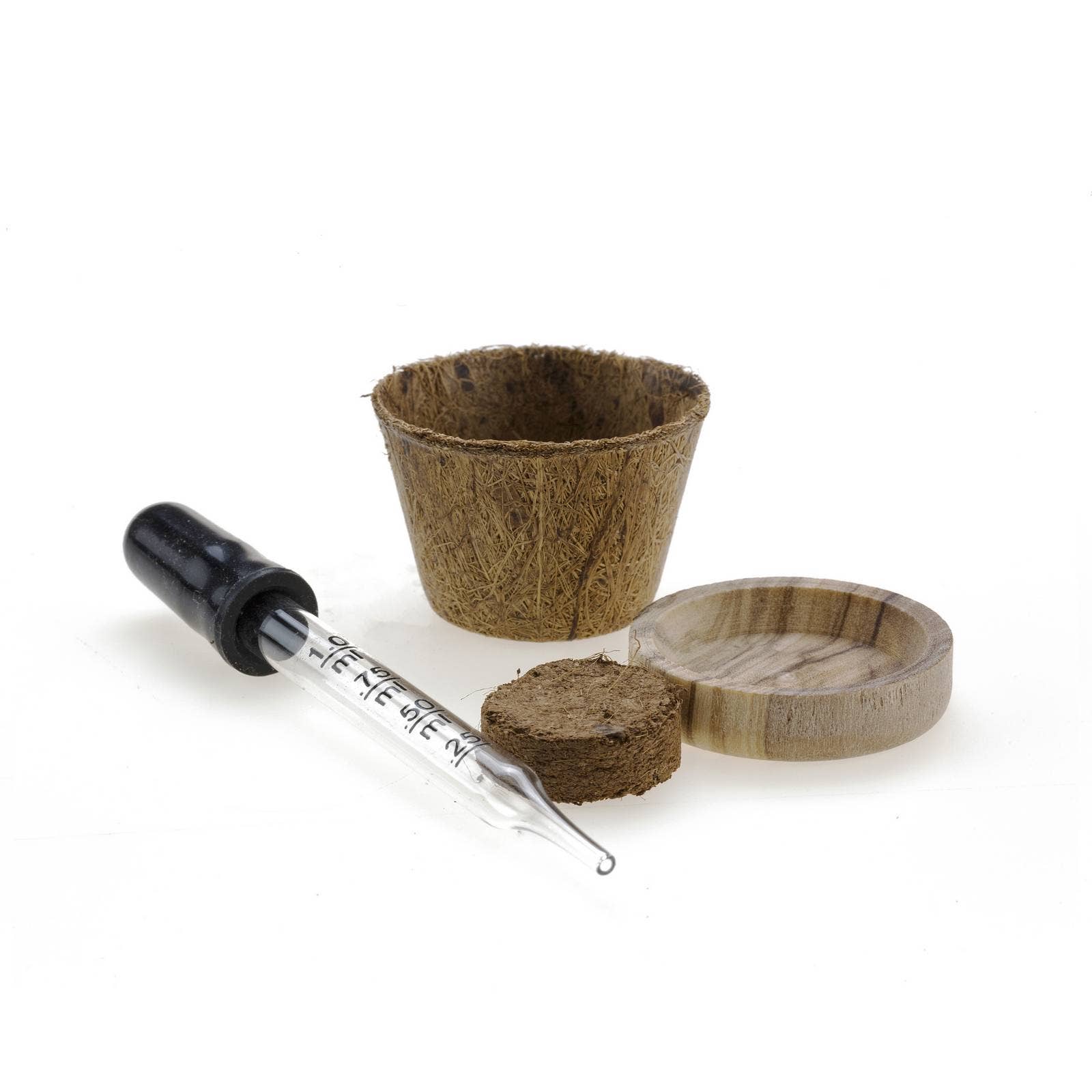 MINÌ®Italia di Luigi Paolicchi - Wholesale DIY Craft Kit - MINÌ®Box Kit Line (small cactus plants always with you)2