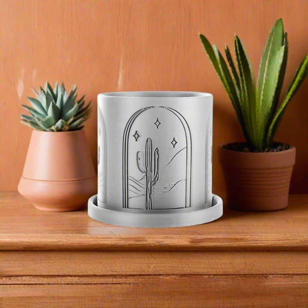 Rosebud Homegoods - Wholesale Plant Pot - Cactus Planter11