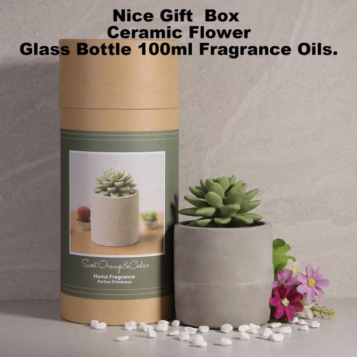Pretty Valley Home - Wholesale Diffuser fragrance refill - Reed Diffuser Set Gypsum Succulent 3.38 FL OZ (100 ml)-SOC2