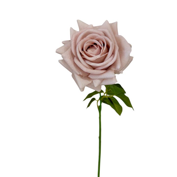 Angel Isabella - Wholesale Artificial Flowers - 26"-Elegant Real Touch rose-blush taupe-muted beige color