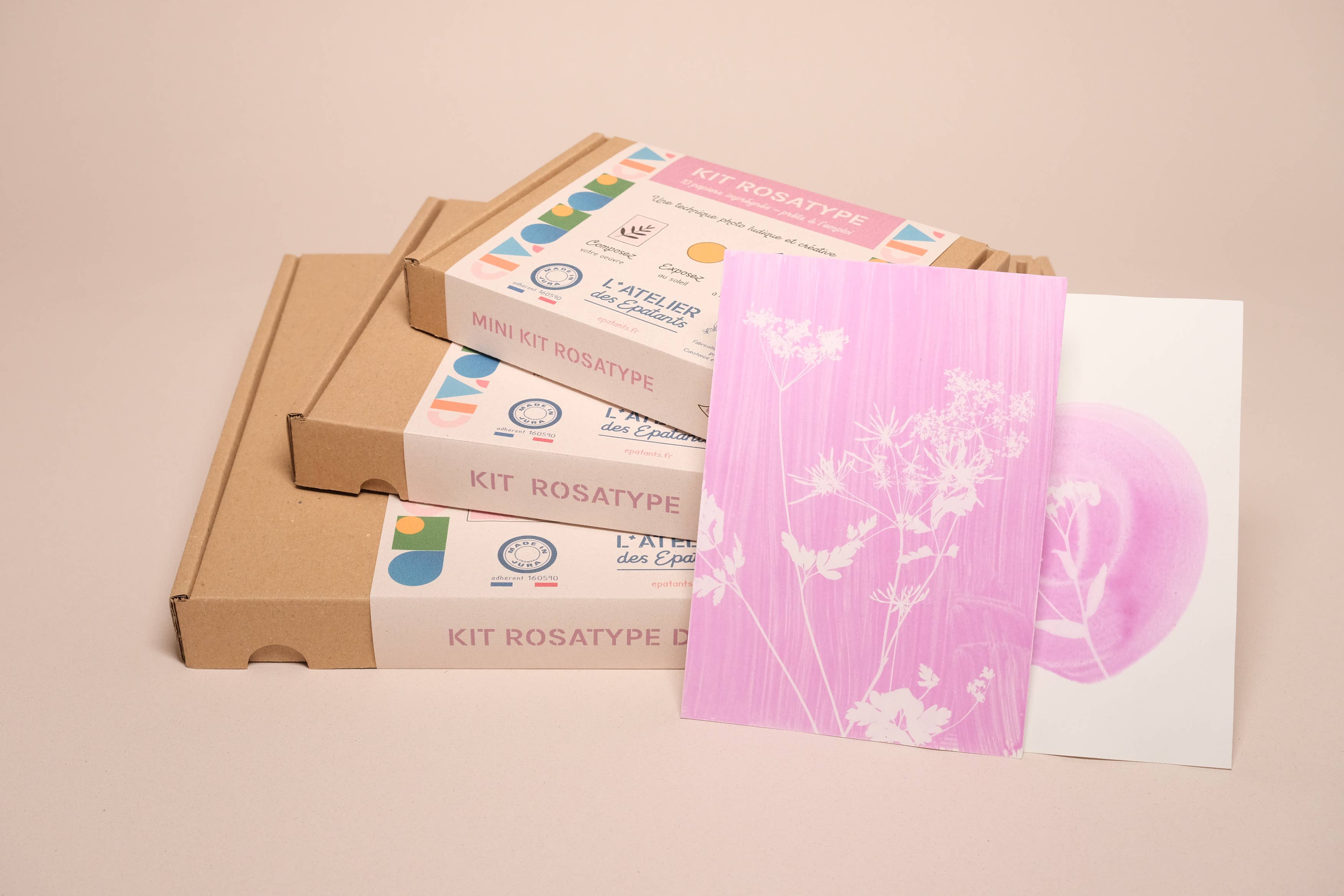 L'Atelier des Epatants - Wholesale DIY Craft Kit - Rosatype DIY Kit - like cyanotype but pink!9