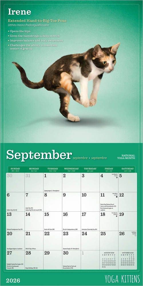 BrownTrout Publishers - Wholesale Calendar - Yoga Kittens OFFICIAL 2026 Monthly Mini Wall Calendar  3