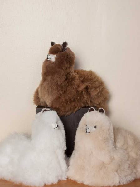 Alpaca Laying for wholesale by Simply Natural Alpaca