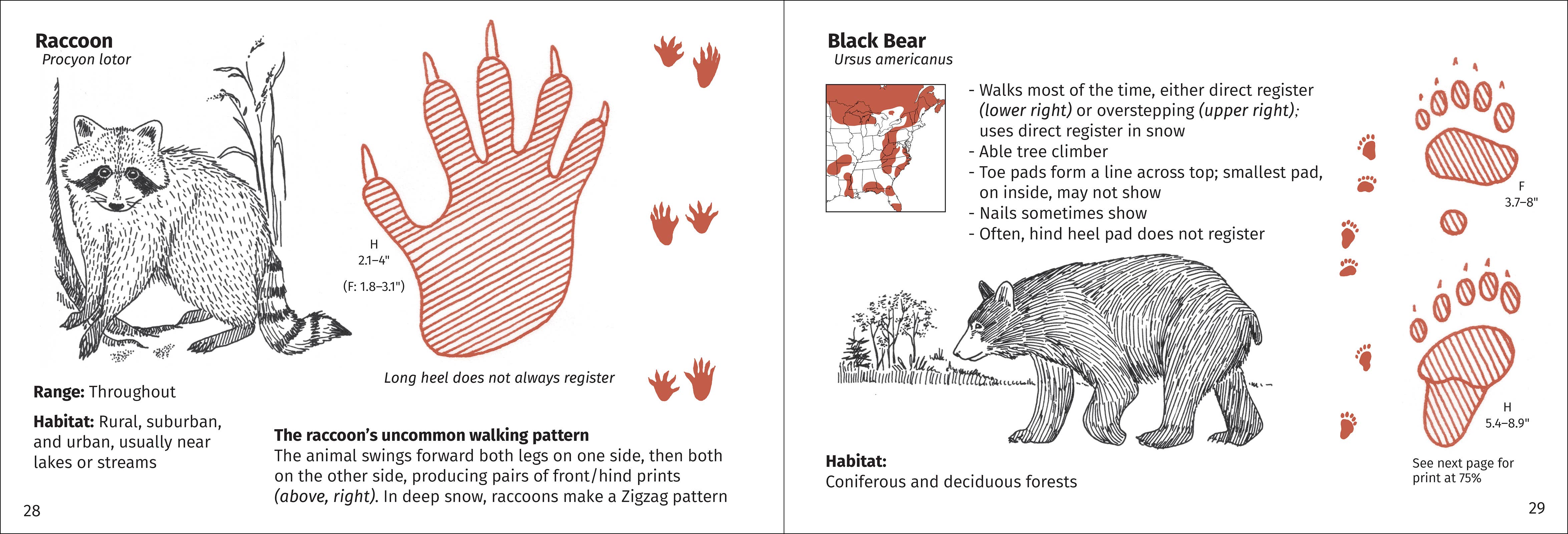 AdventureKEEN - Wholesale Nature & Outdoors - Track Finder 3e3
