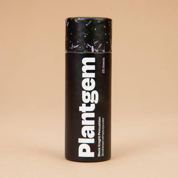 Scabiosa Black Knight - 100 Seeds for wholesale by Plantgem