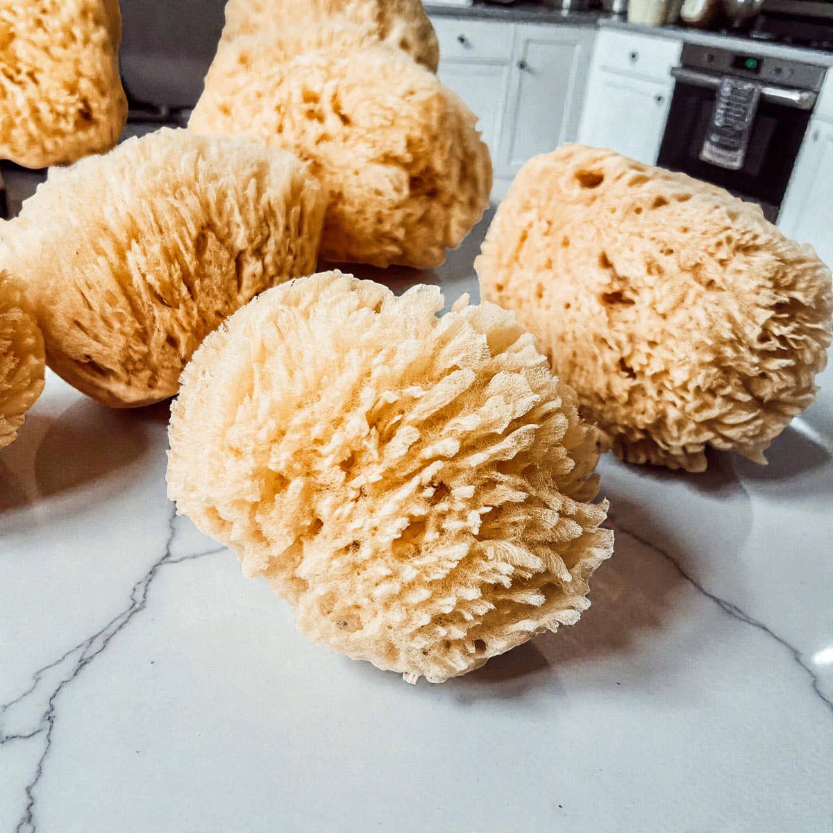 Gia Roma - Wholesale Bath Pouf/Sponge - Dead Sea Sponge, All Natural Body Wash Loofah 4-5"15