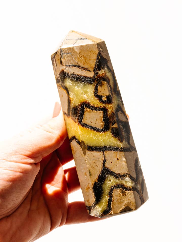 Septarian Dragon Stone Tower for wholesale by Apothecary Co.