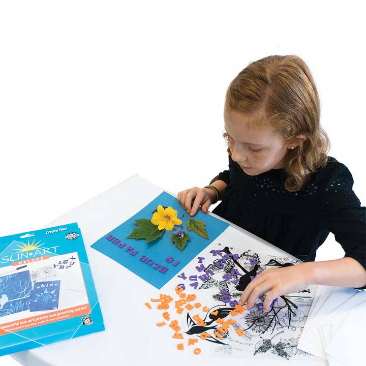 Sun Art Deluxe Kit for wholesale by TEDCO Toys