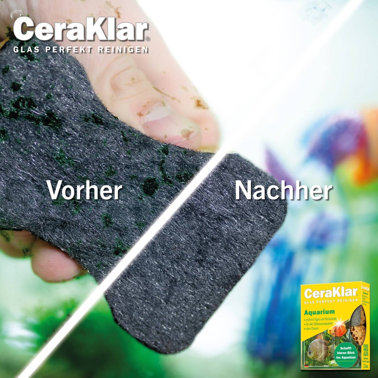 abrazo - Wholesale Cleaning Sponge - abrazo CeraKlar Aquarium - 2 sponges, removal of algae3