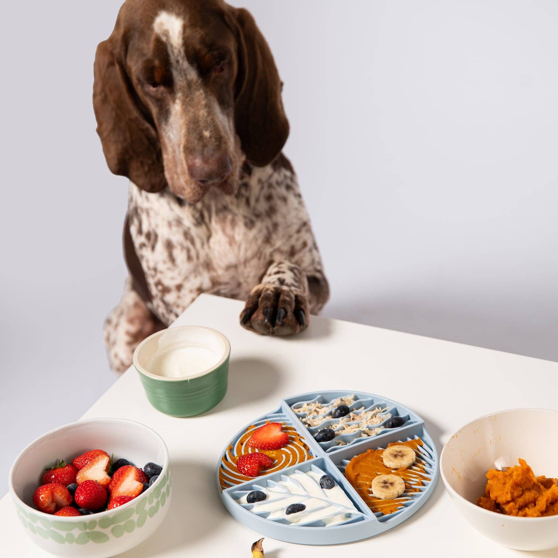 Awoo – Tapete para comedouro – Cão por atacado – Tapete Paradise Lick5