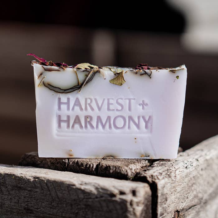 Harvest + Harmony - Wholesale Bar Soap - Harvest + Harmony Fir Needles Goat Milk Soap with Dish