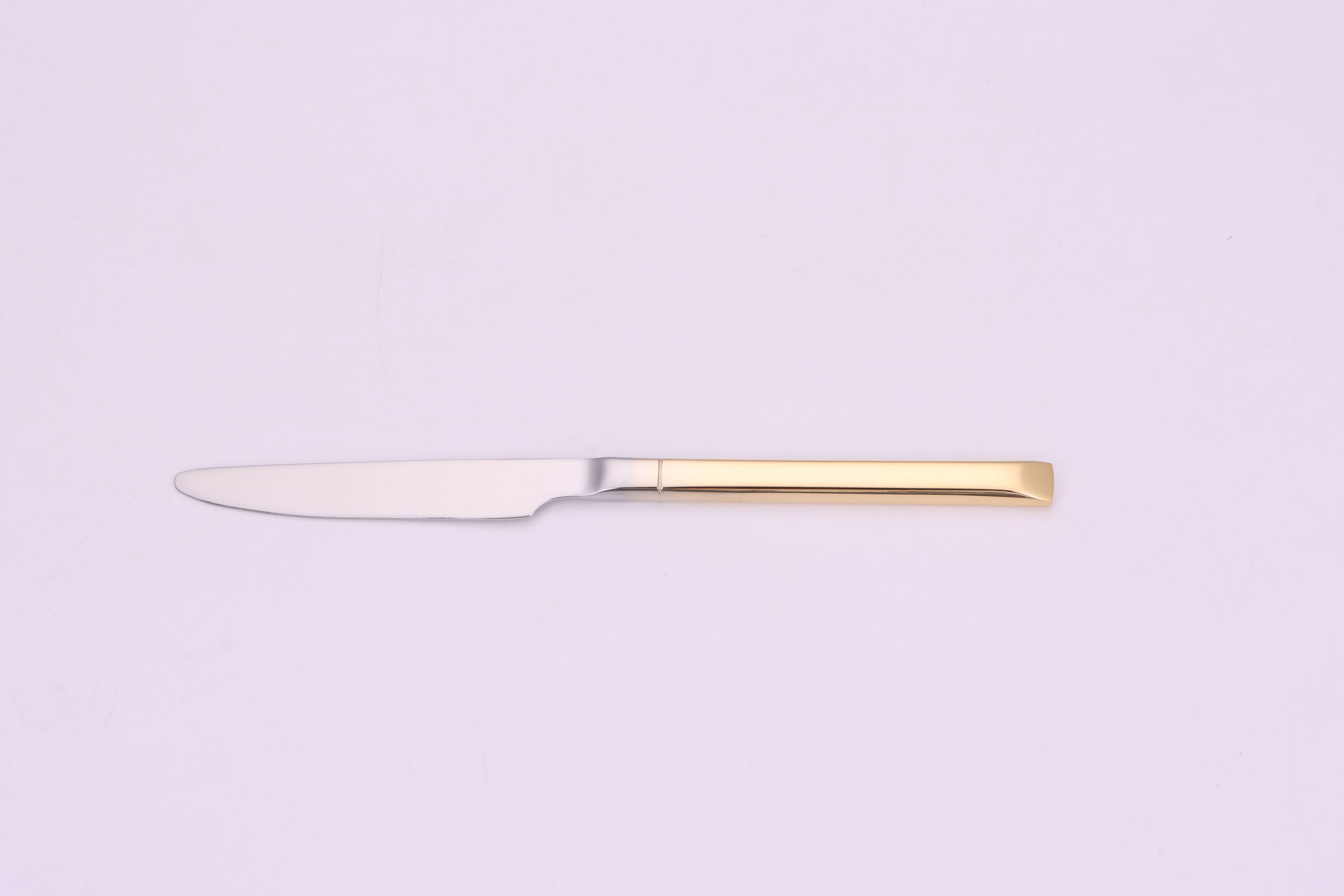 VIVIENCE - Wholesale Flatware Set - Simplicite 20 Pc Flatware with Gold Handles, Service for 46