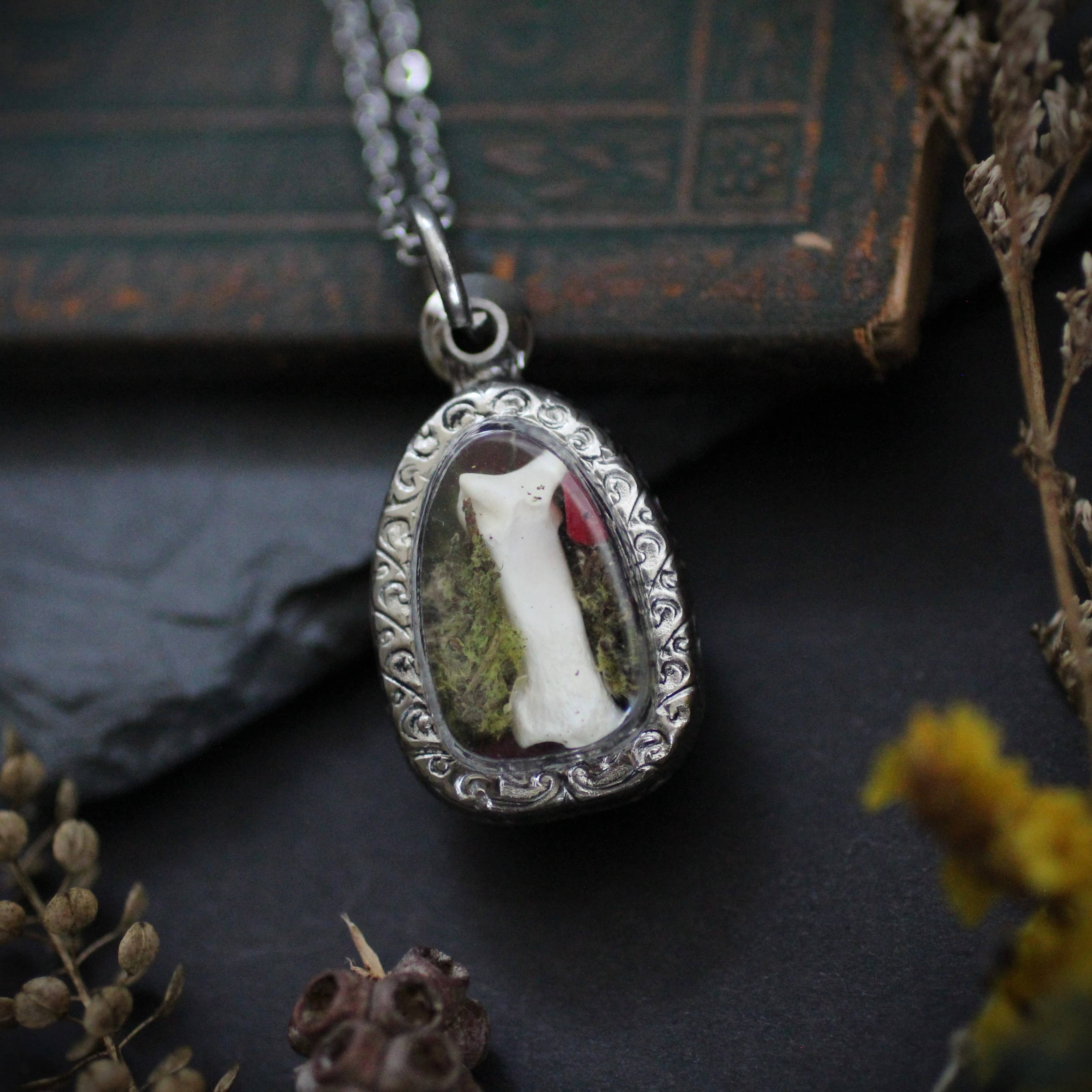 Kitty Bomb Curios - Wholesale Pendant/Charm Necklace - Bone Lockets oddity reliquary tooth window jewelry necklace9