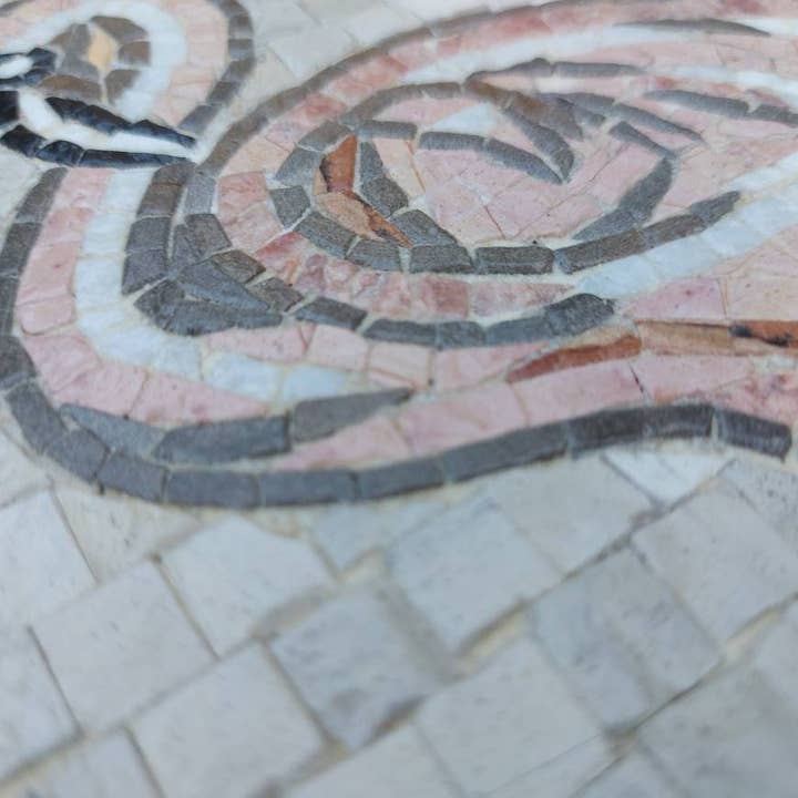 Next Day Shop - Venta al por mayor Azulejos - Mosaico mural para salpicaduras de flamencos, mosaico hecho a mano1