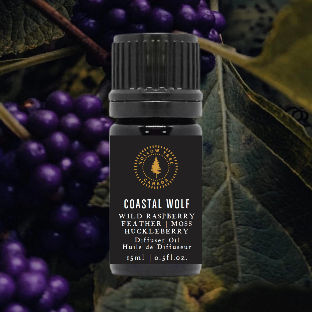 Hollow Tree Candle Co - Wholesale Diffuser Fragrance Refill - Coastal Wolf - Diffuser Oil - 15ml 3