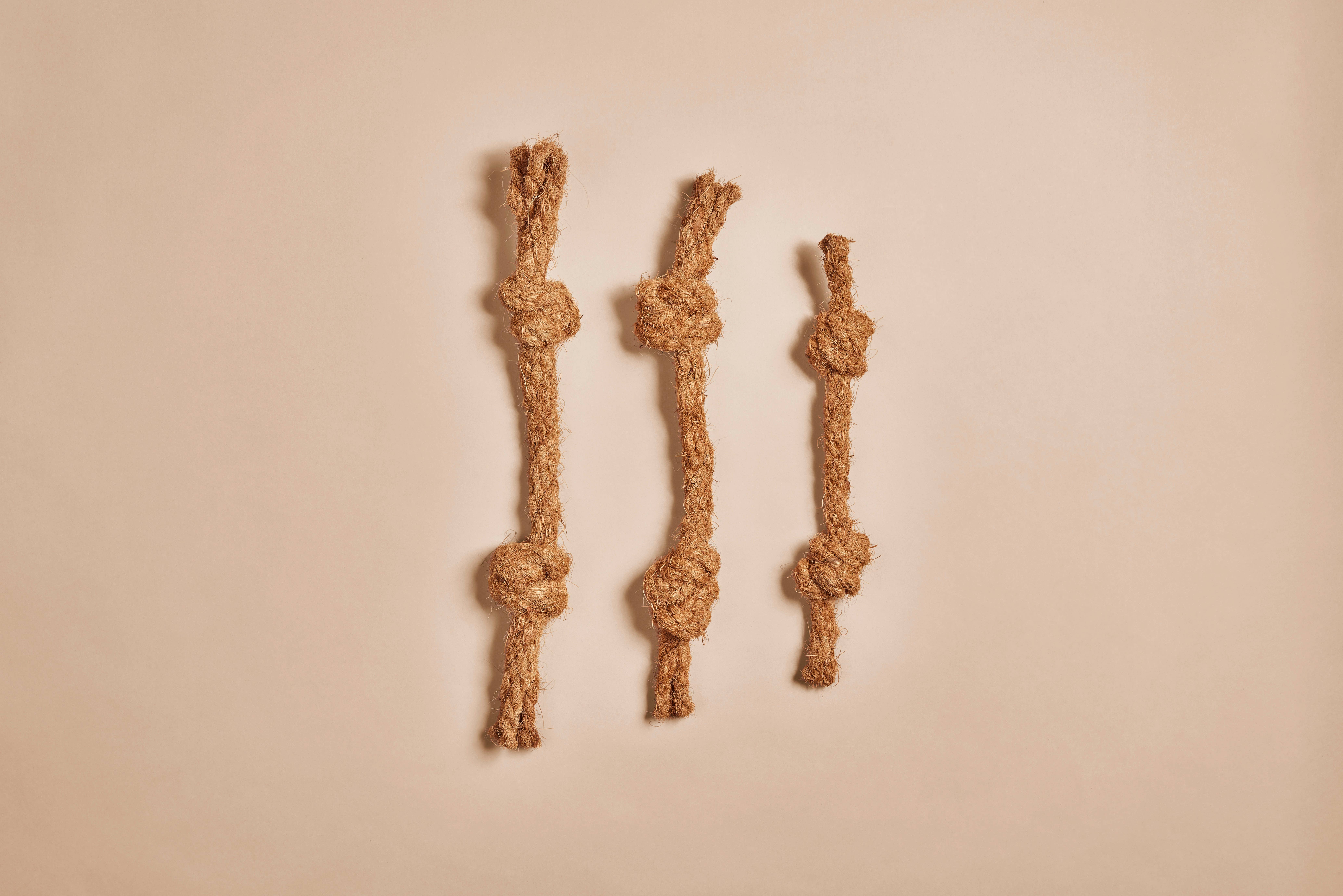 CANOPHERA GmbH - Wholesale Pet Rope Toy - Dog - COCOBONE. Dog Chew Made of Coconut Rope