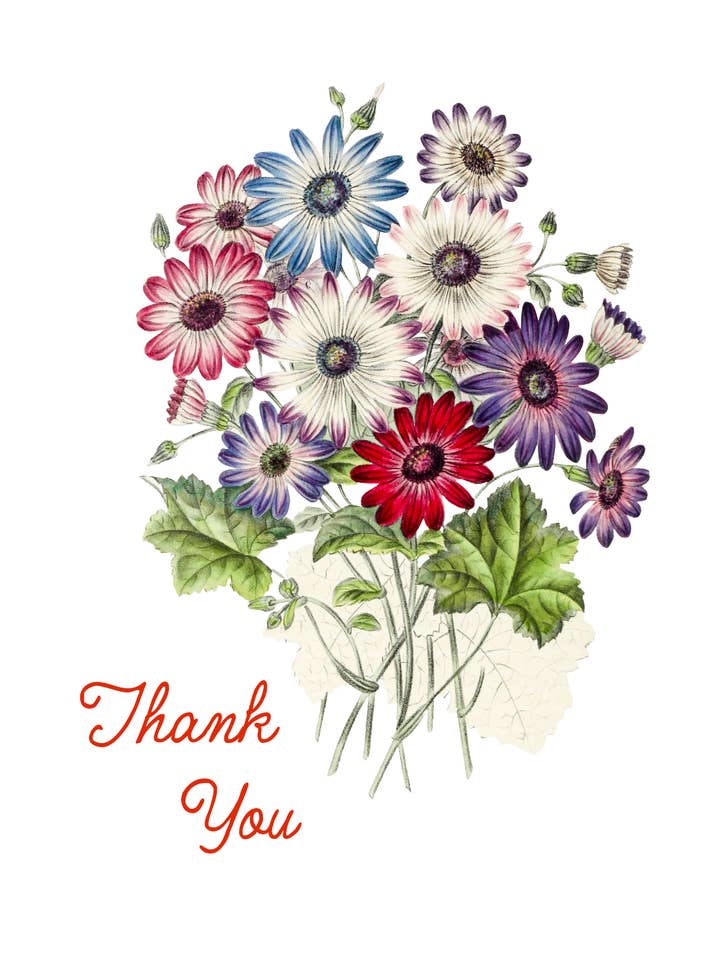 Gratitud para venta al por mayor de Sweet Tree Cards