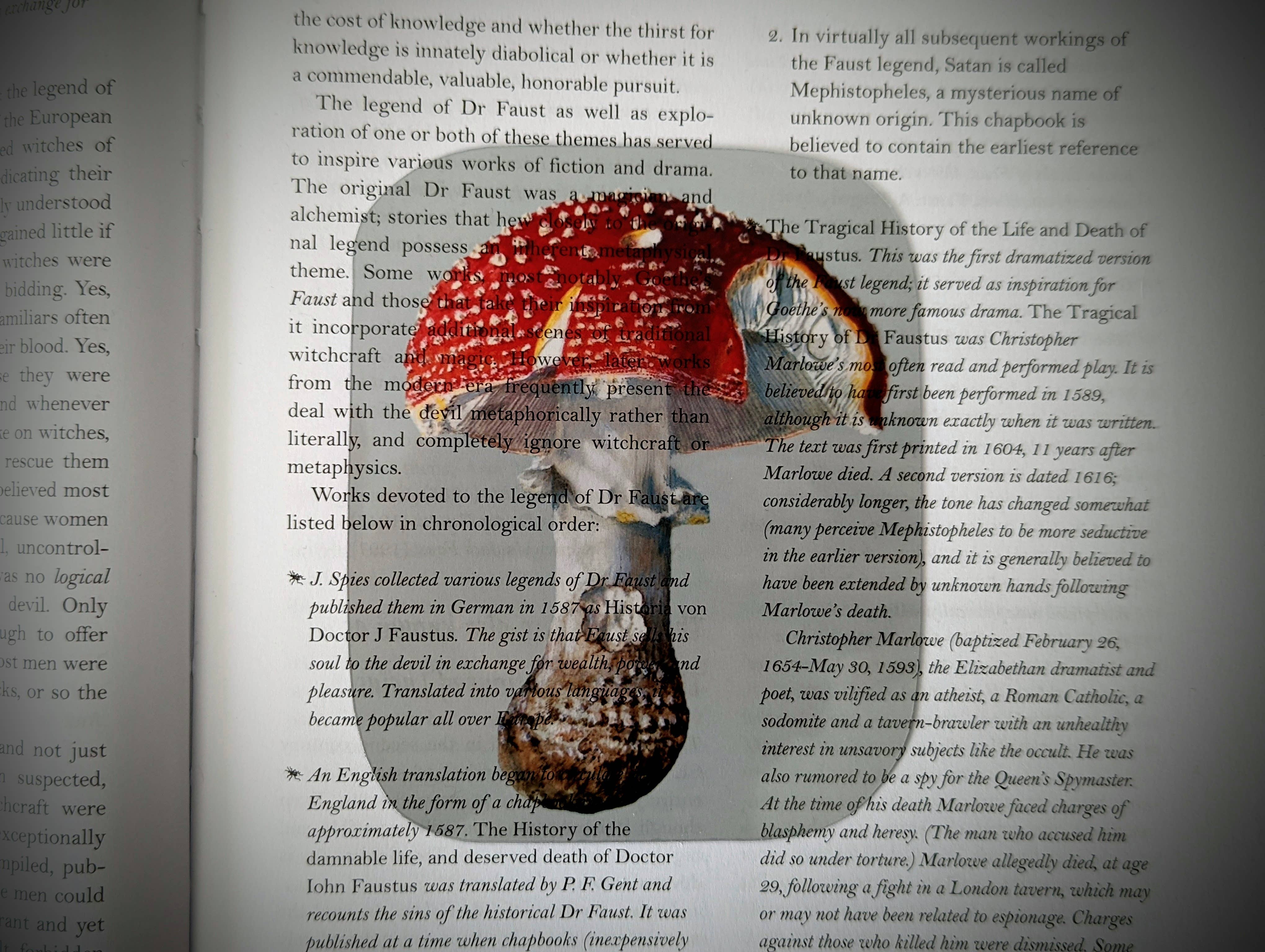 Dark Veinlet - Venta al por mayor Marcapáginas - Marcador transparente - Hongo agárico de mosca Amanita Muscaria1