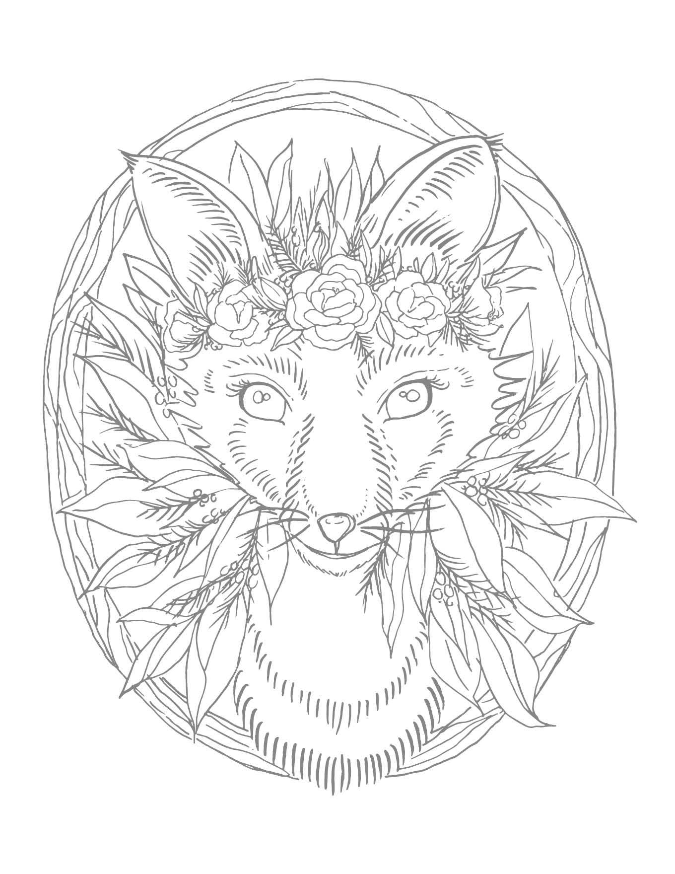 Schiffer Publishing - Wholesale Coloring & Activity Book - Adult - Kristy's Winter Cutting Garden: A Watercoloring Book7