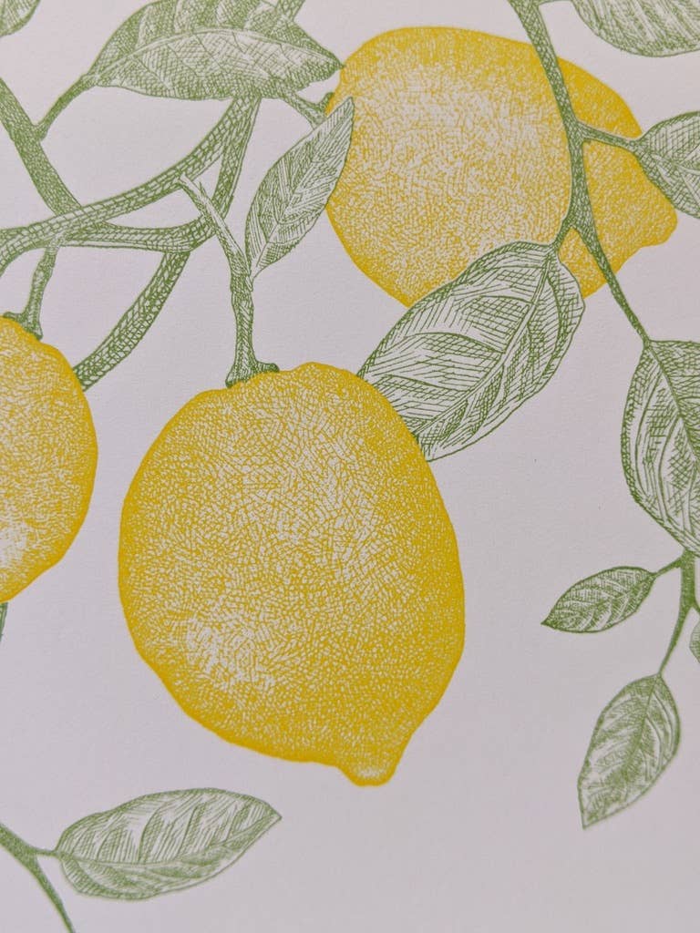 Painted Tongue Press - Wholesale Thank You Card - Meyer Lemon Thank You and Blank Note Card2