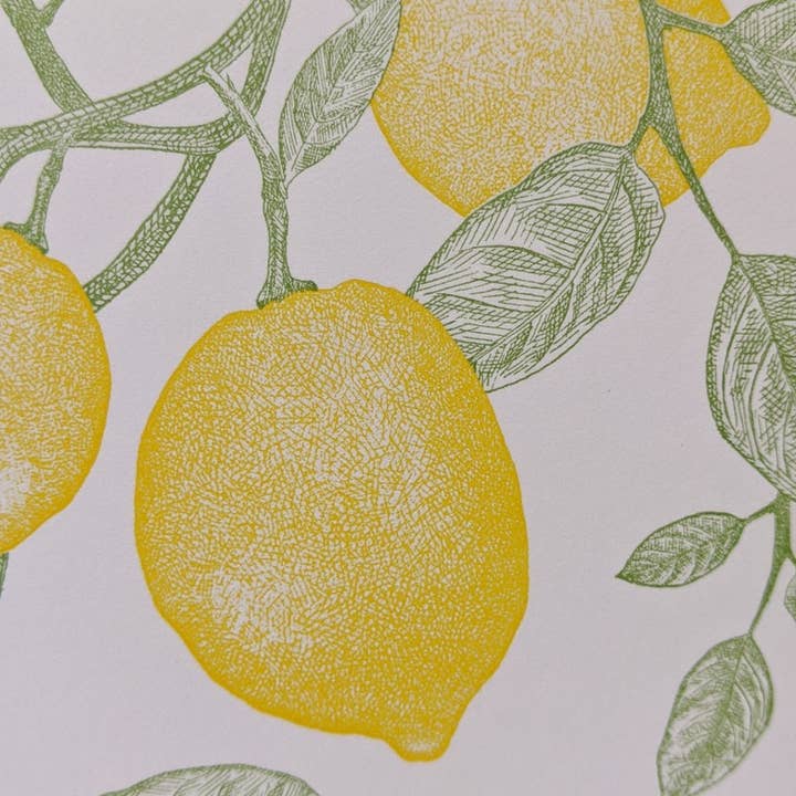 Painted Tongue Press - Wholesale Thank You Card - Meyer Lemon Thank You and Blank Note Card2