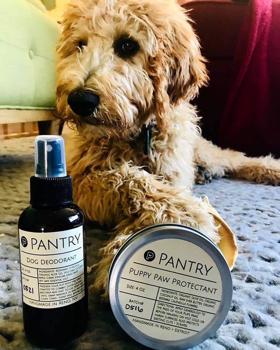 Pantry Products - Skin, Body, + Wellness - Wholesale Pet Paw Protection - Puppy Paw Protector - 4oz - Non-Toxic Winter Paw Pad Shield1