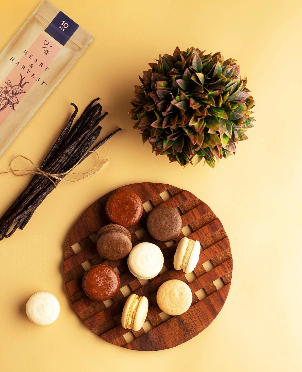 Heart & Harvest – Extrato de baunilha/fruta por atacado – Baunilha de Madagáscar Puro em tubo de vidro de origem ética9