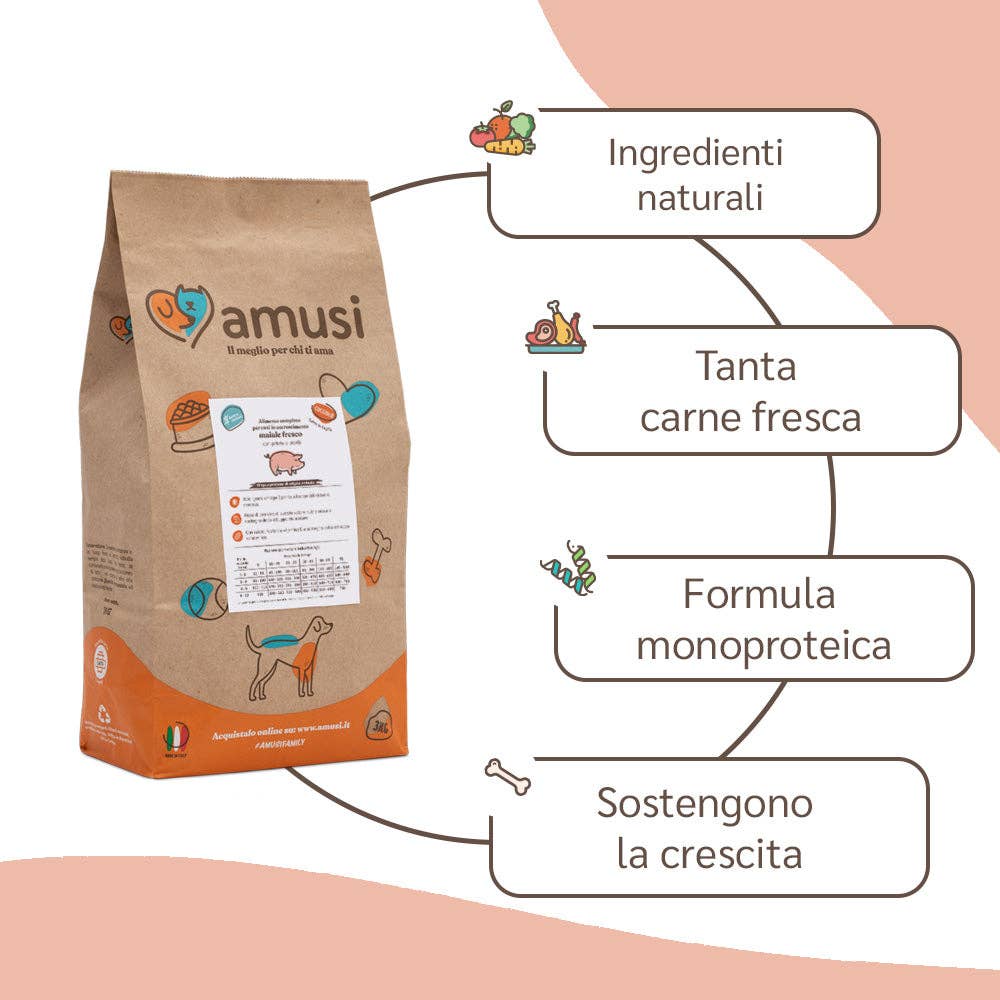 Pettech S.r.l. - Wholesale Pet Treats - Dog - Kibble with Fresh Pork, Potatoes, and Peas for Puppy1