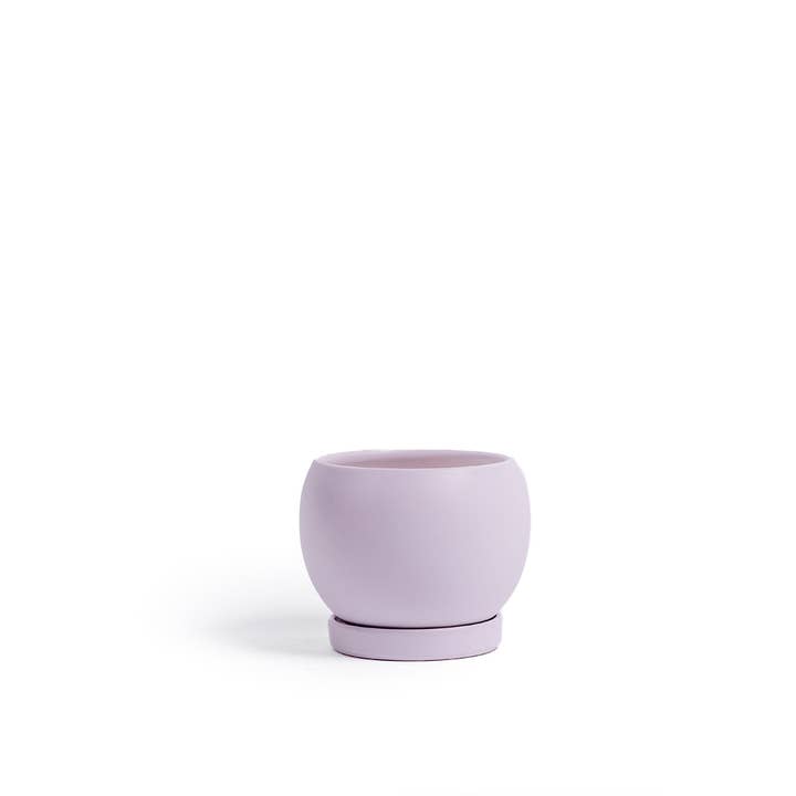 Momma Pots - Wholesale Plant Pot - 6" Bollé Pots w/Water Saucers - 6pc/cspk5