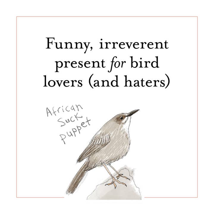 Chronicle Books - Wholesale Humor - The Field Guide to Dumb Birds of the Whole Stupid World9