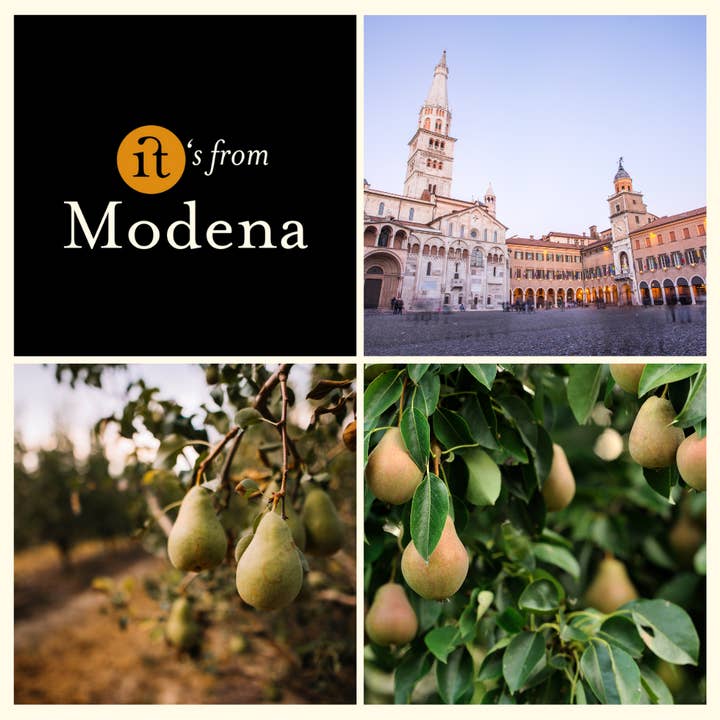 Gourm.it - Wholesale Fruit Juice - Organic Pear and Ginger Juice 200ml. Sweet and spicy. Modena.4