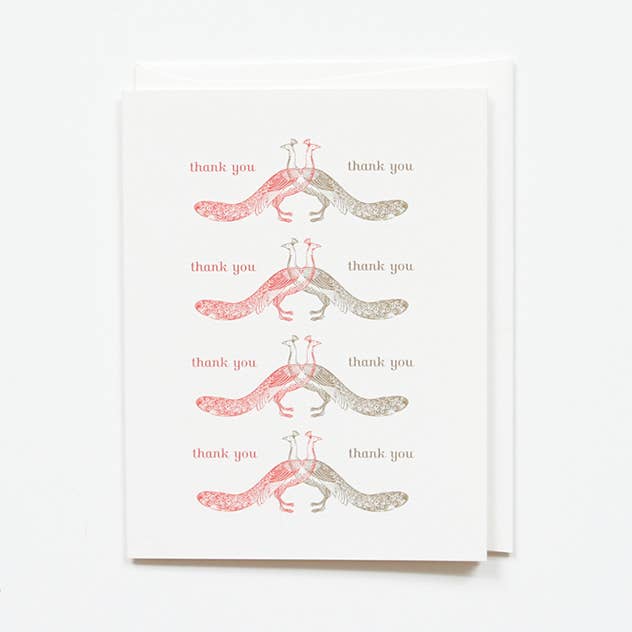 Grazie Peacocks per la vendita all'ingrosso da parte di Paper + Cup