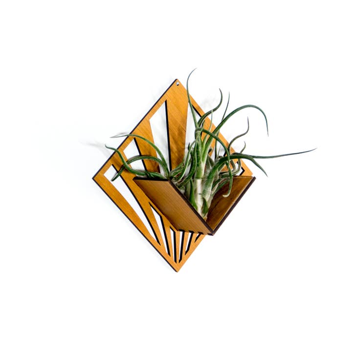 LIGHT RAZOR DESIGN STUDIO - Wholesale Wall planter - Air Plant Holder / Quadrate Wall Hanging Planter 250