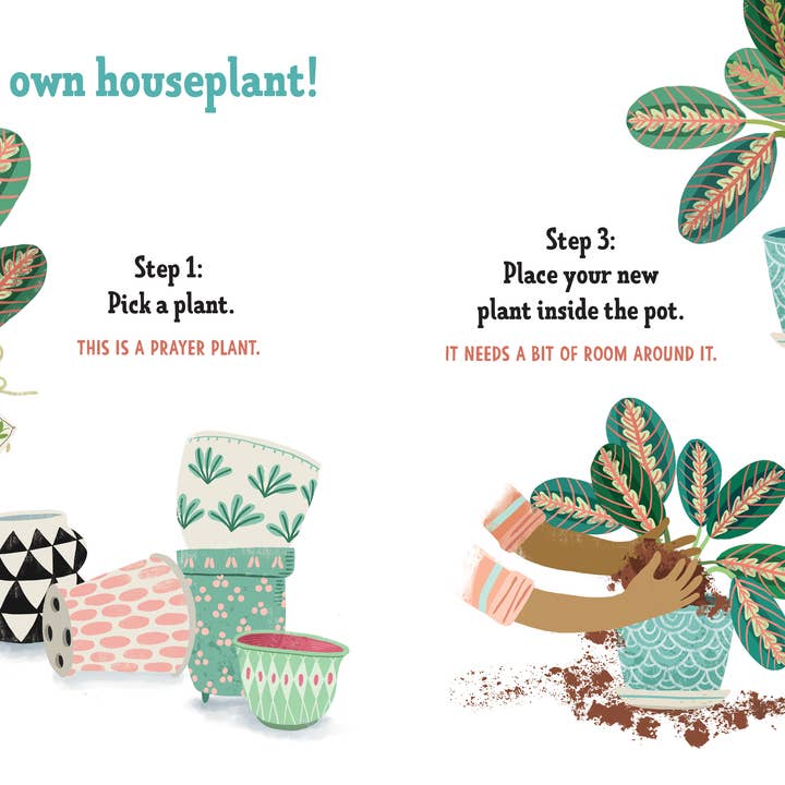 Sourcebooks - Wholesale Baby & Toddler Book (0-2) - My First Book of Houseplants1