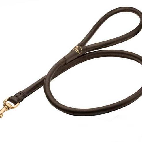 Laisse de chien ronde en cuir pour la marche et le suivi pour la vente par FDT Global LLC