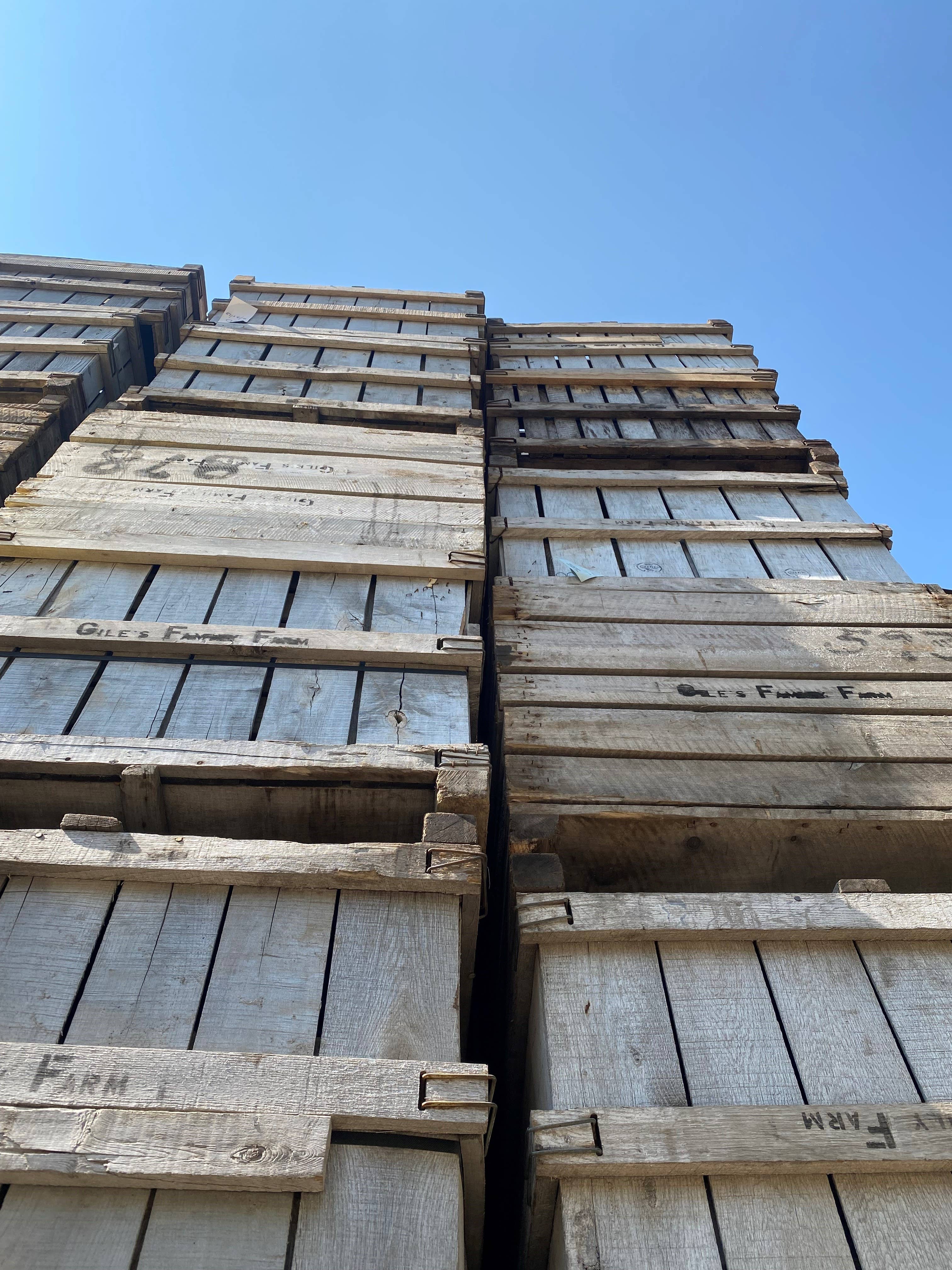 Harvest Maine - Wholesale Dried/Dehydrated Fruit - Harvest Maine Apple Pie Fruit Bite Pummies5