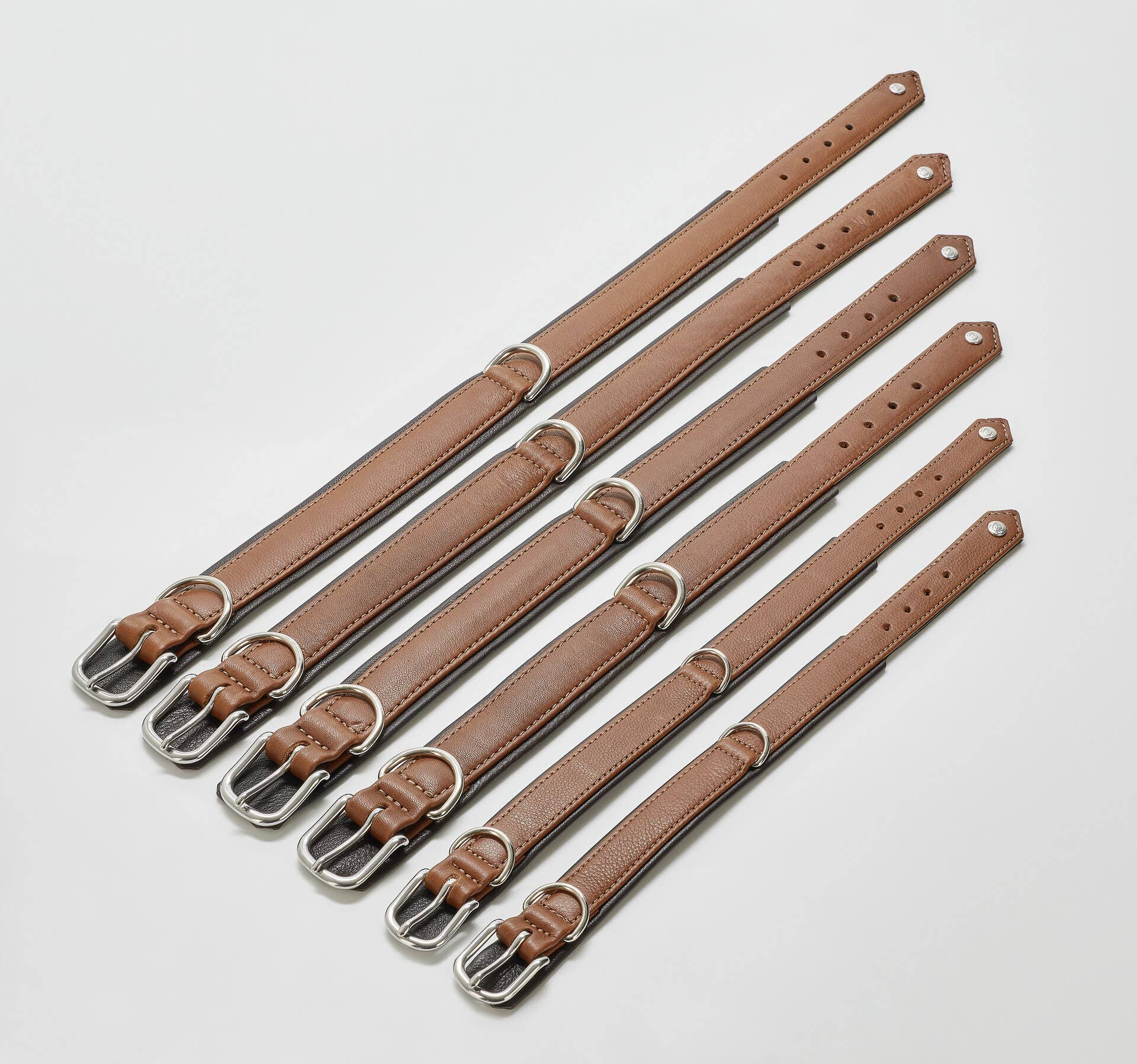 LABONI - Volentis GmbH - Wholesale Pet Collar - Dog - AMICI dog collar5