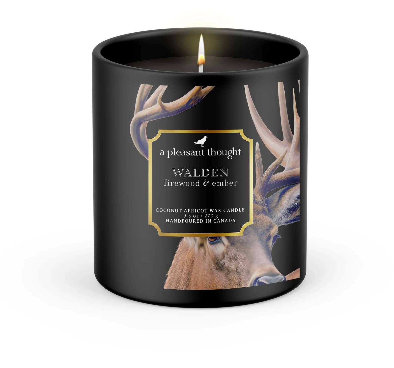 A Pleasant Thought - Wholesale Jar/Filled Candle - WALDEN | FIREWOOD & EMBER | RAVEN CANDLE