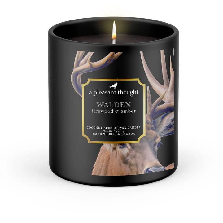 A Pleasant Thought - Wholesale Jar/Filled Candle - WALDEN | FIREWOOD & EMBER | RAVEN CANDLE0