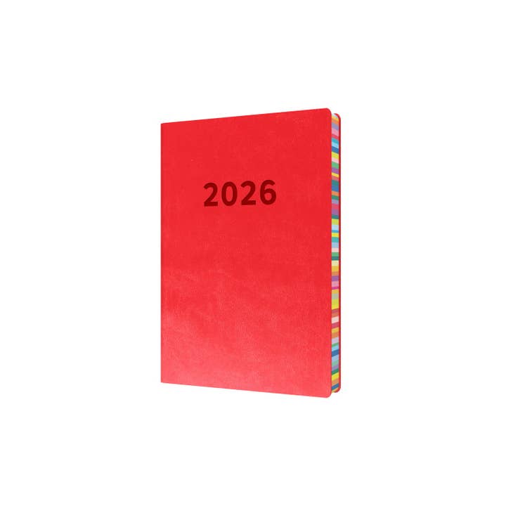 Collins Debden - Wholesale Planner - Edge Rainbow - A5 Day-To-Page Diary - 2026 Calendar Year Planner8