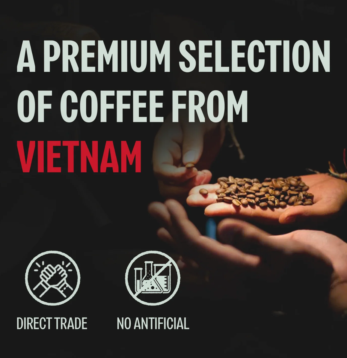 Bazan Coffee - Wholesale Ground Coffee - Premium Vietnamese Strong Coffee Ground4