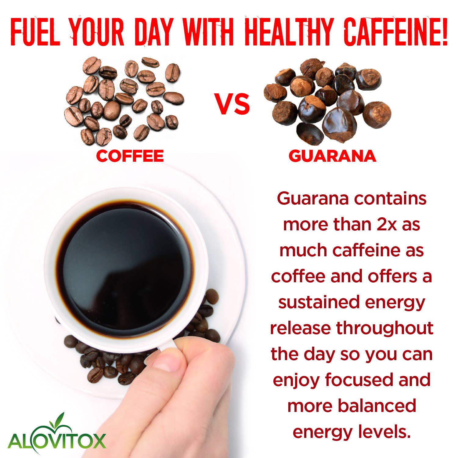Alovitox - Wholesale Protein/Superfood Powder - Certified Organic Guarana Powder6