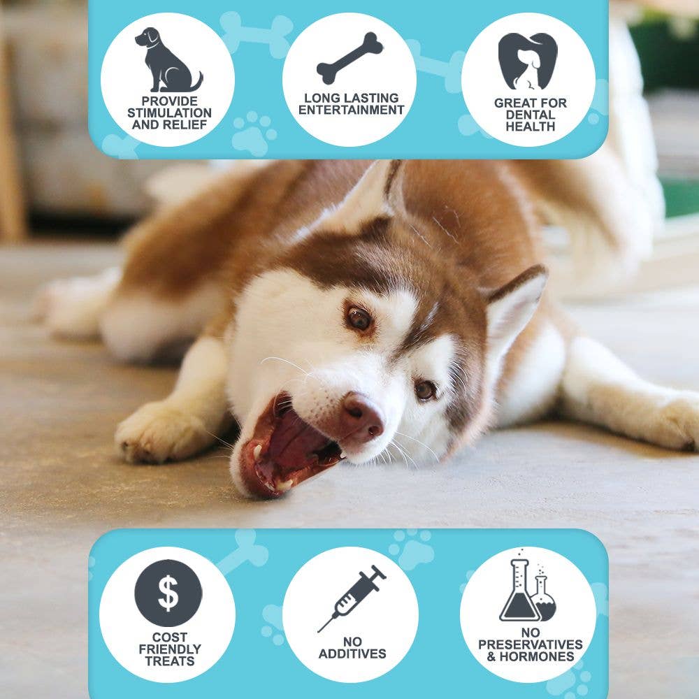 Hotspot Pets - Wholesale Pet Treats - Dog - All Natural Beef Knee Caps Dog Treats, 12 Count3