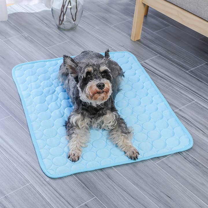 ANTI-SLIP AND ANTI-BITE ICE CUSHION PET CUSHION_CWMM8939 for wholesale by DOUBLJU