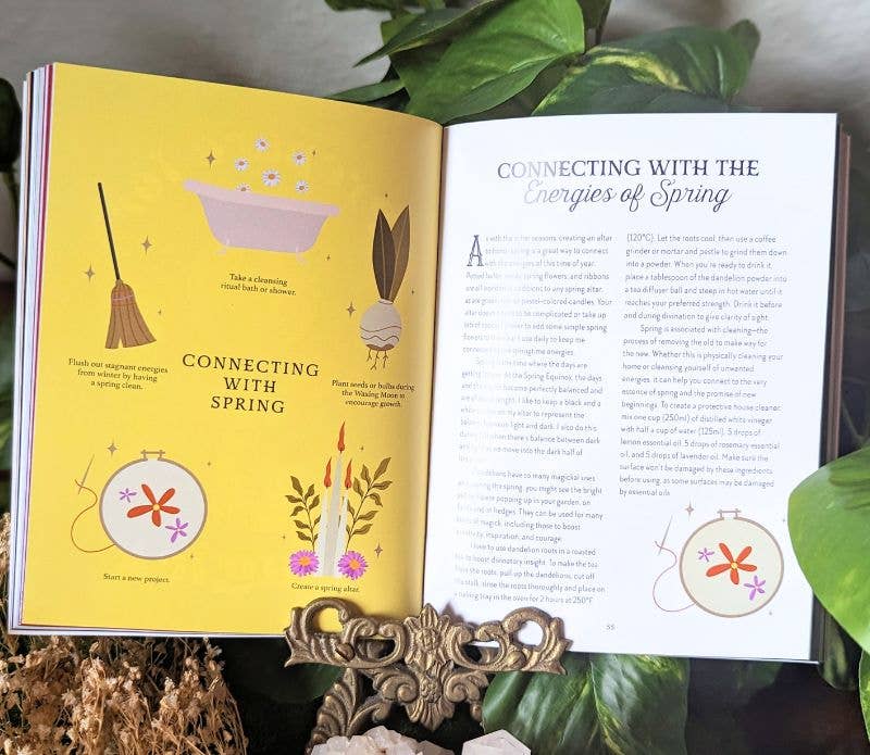 Goddess Provisions - Venta al por mayor Libro de cuerpo, mente y espíritu - Libro de Magia de la Tierra - Conéctate con la Magia4