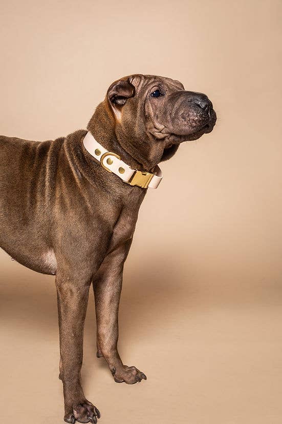 Pompon & Pets - Wholesale Pet Collar - Dog - Nude Necklace - Biothane1