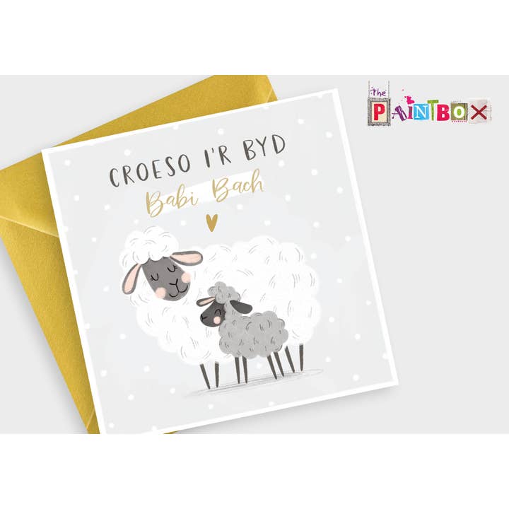 Croeso i'r Byd Babi Bach - Welcome little one baby Welsh x6 for wholesale by The Paintbox
